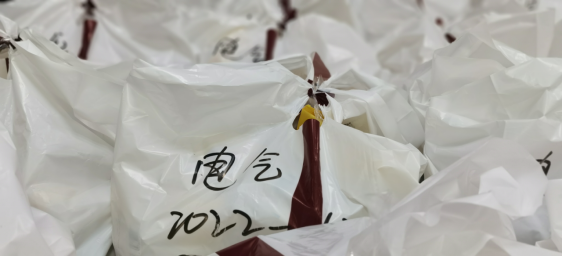 澳门彩票