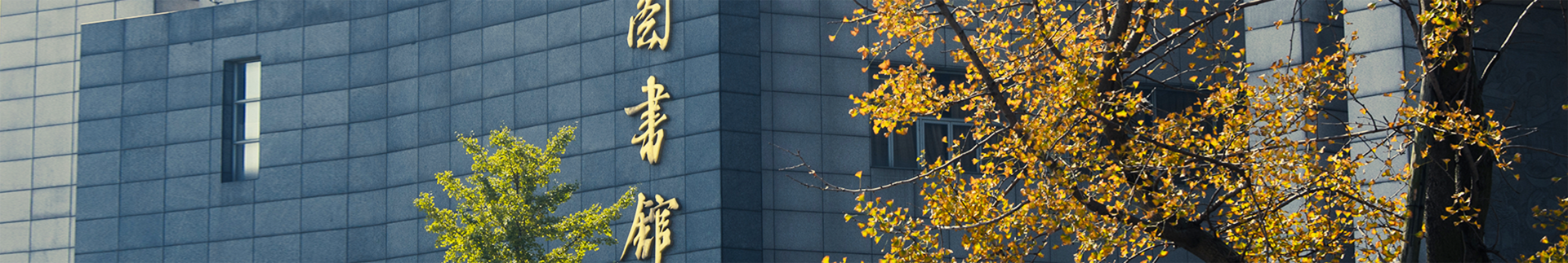 澳门彩票banner